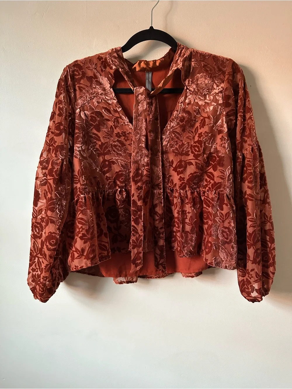 Anthropologie Floral Burnout Velvet Peplum Blouse